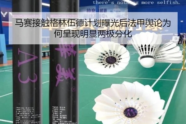 马赛接触格林伍德计划曝光后法甲舆论为何呈现明显两极分化